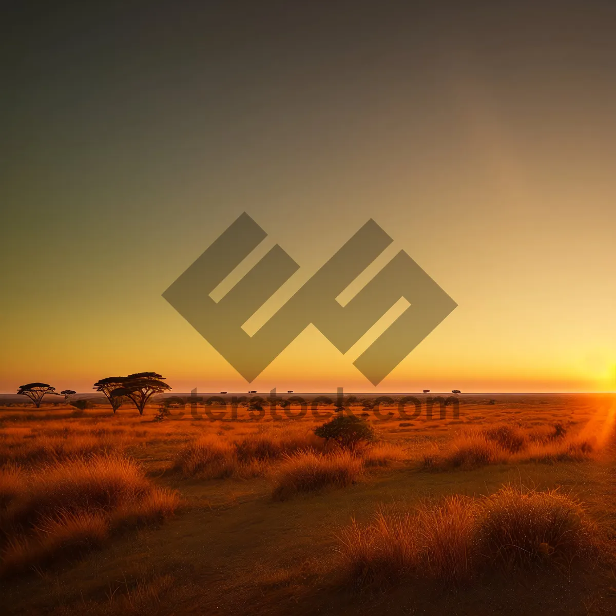 Picture of Radiant Sunset Horizon over Serene Beach