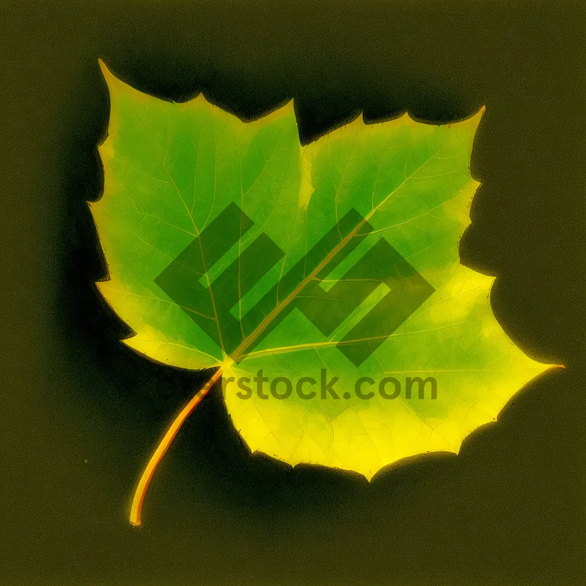 Picture of Vibrant Autumn Foliage: Maple Leaf in Yellow