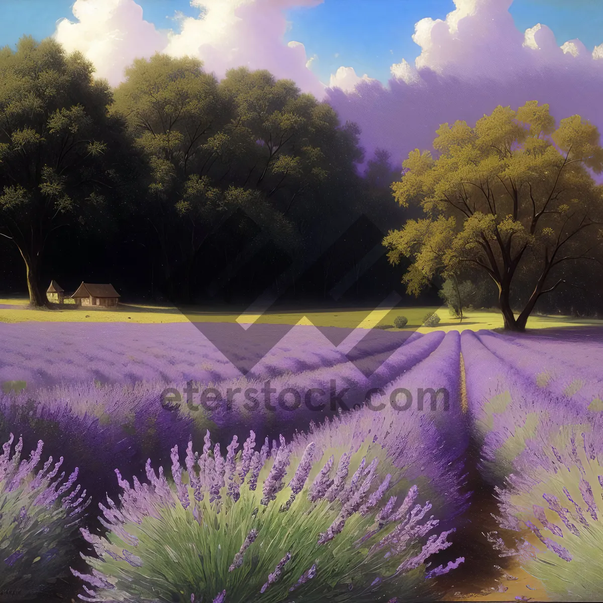 Picture of Vibrant Night Sky Fireworks Display over Lavender Field