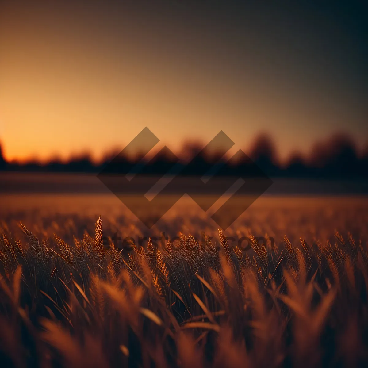 Picture of Scenic Sunlit Meadow with Clouds