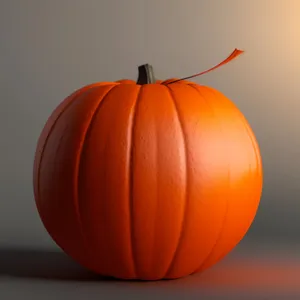 Autumn Harvest: Vibrant Orange Pumpkins and Squash