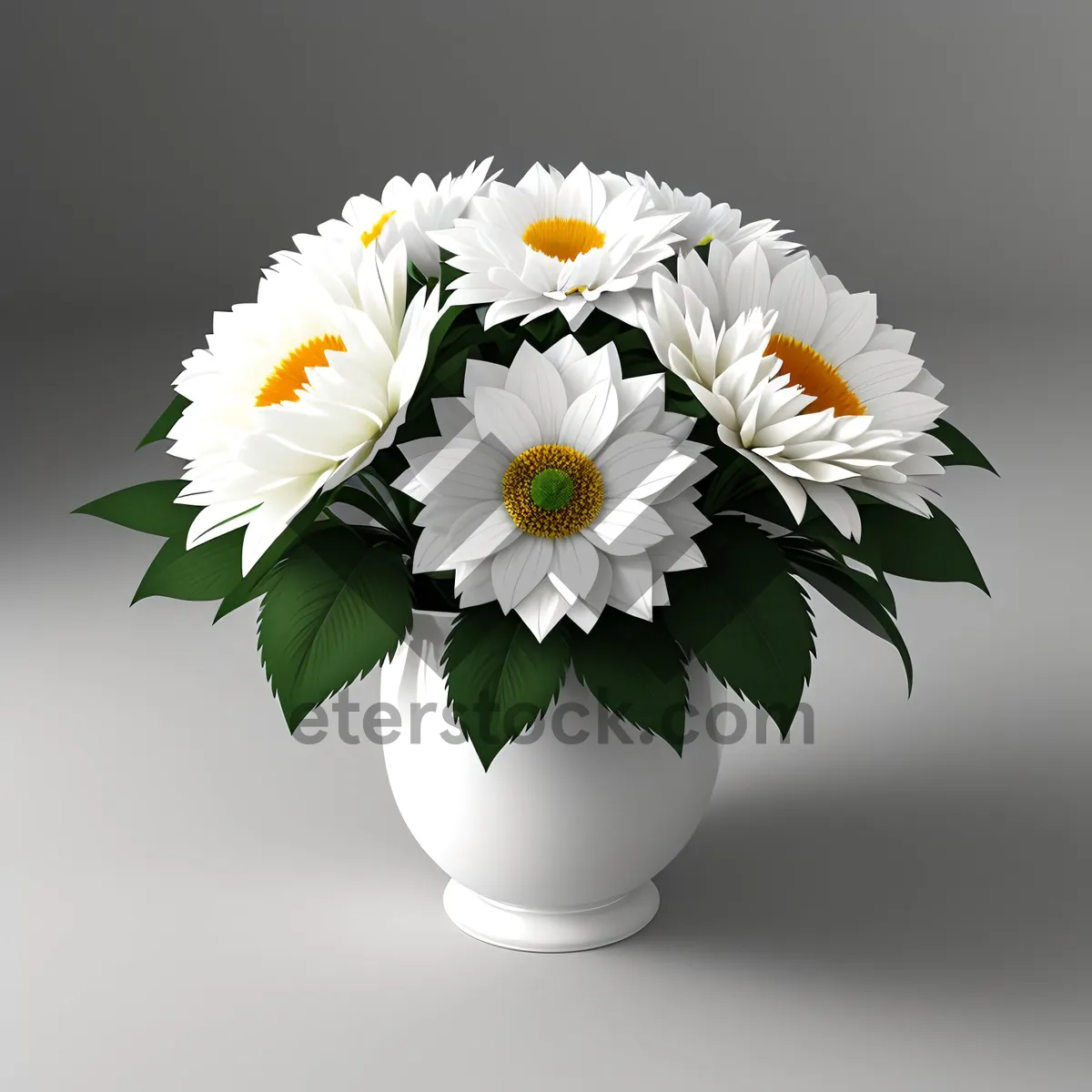 Picture of Fresh White Daisy Blossom in Bloom