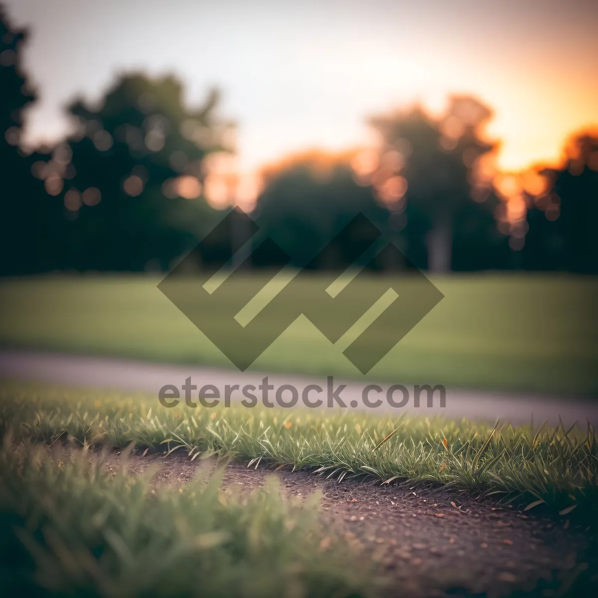 Picture of Colorful Meadow Under Clear Summer Sky