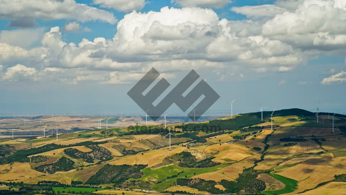 Picture of Summer Landscape with Rapeseed Fields and Wind Turbine