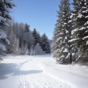 Winter Wonderland: Majestic Frozen Forest in Snowy Mountains