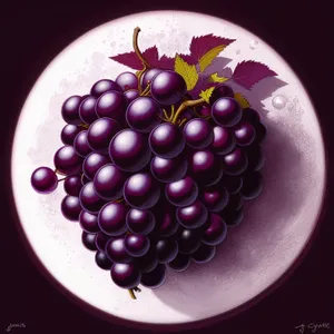 Fresh Juicy Grape Bunch - Healthy Sweet Delight