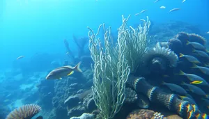 Vibrant tropical fish swimming in sunlit coral reef.