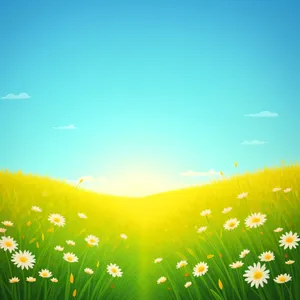 Vibrant Dandelion Meadow Under Sunny Sky