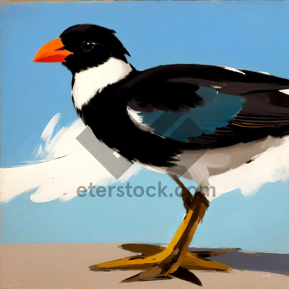 Picture of Majestic Magpie Soaring By the Shore