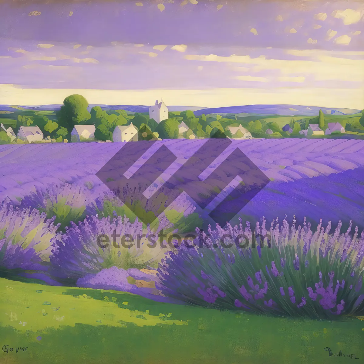 Picture of Vibrant Peacock in Colorful Summer Flower Field