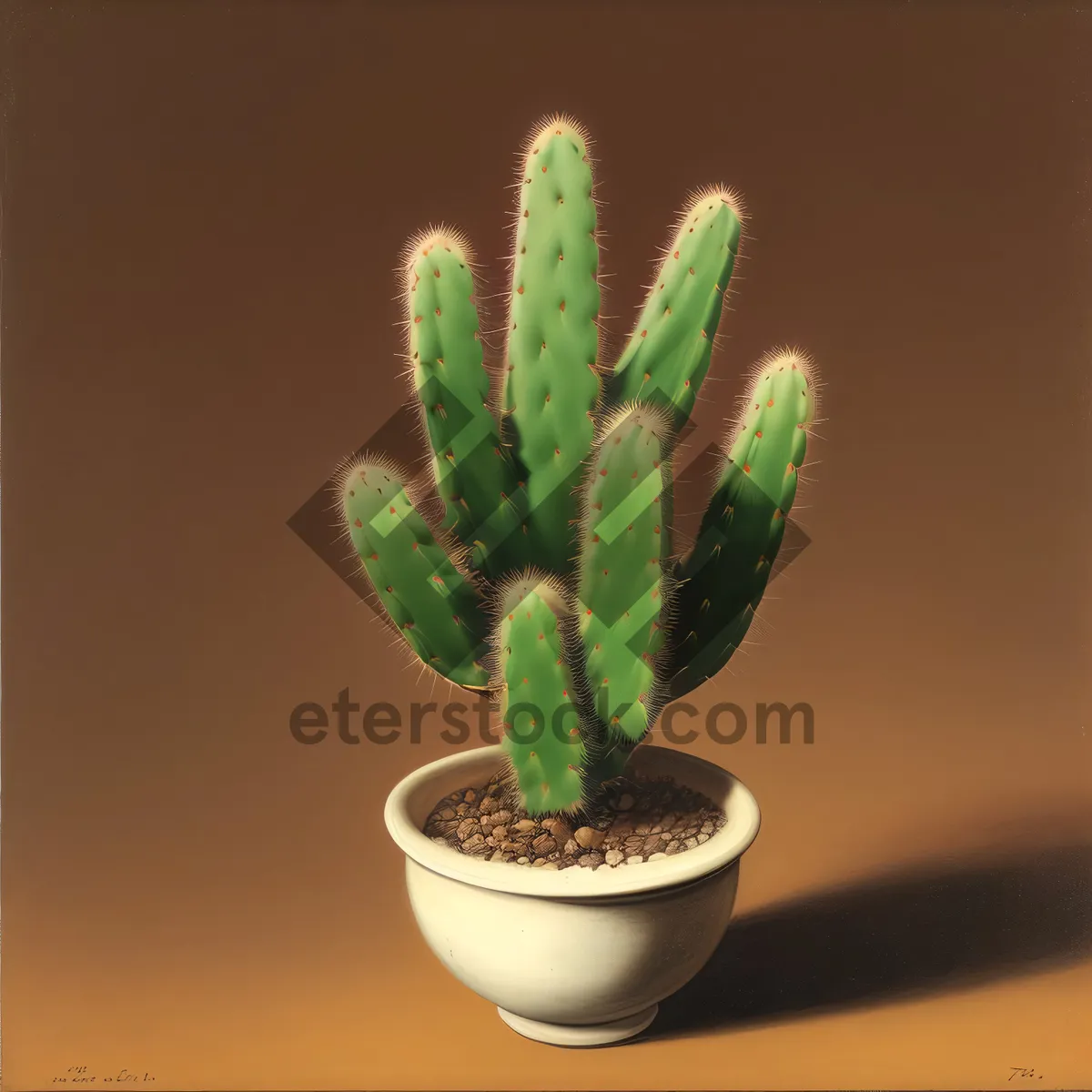 Picture of Pineapple Cactus: Fresh and Natural Vascular Plant