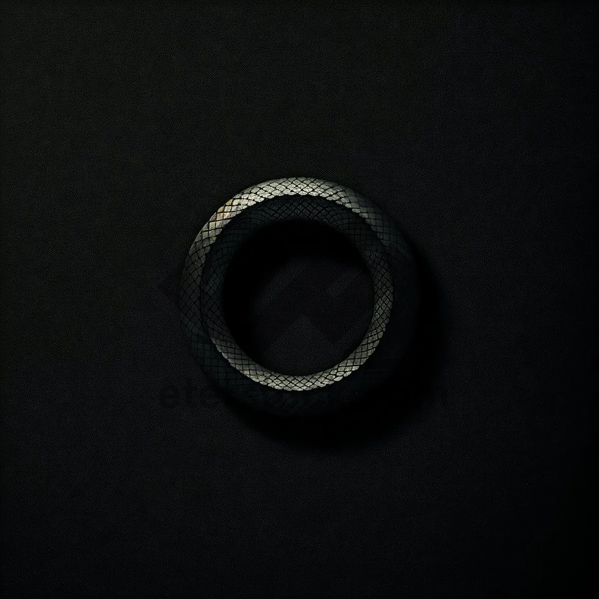 Picture of Silver Bangle Restraint Device - Black Fastener Seal