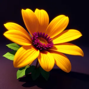 Bright Sunflower Blossom in Vibrant Garden