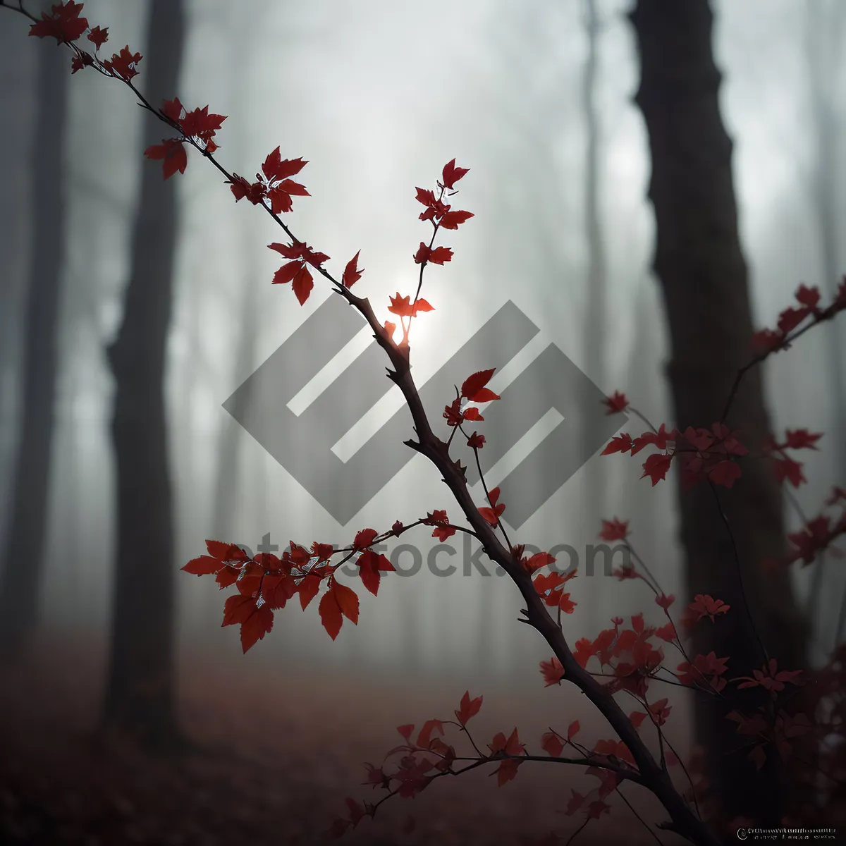 Picture of Frozen Barberry Branch in Winter Forest