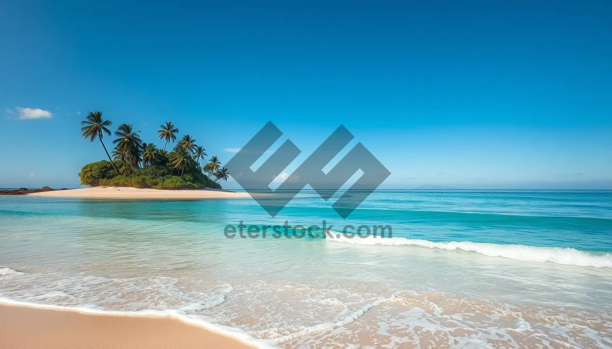 Picture of Tropical paradise beach with crystal clear turquoise waters