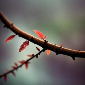 Colorful Bird Perched on Branch Against Blue Sky