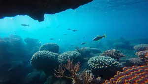 Colorful Tropical Fish Swims in Sunlit Coral Reef