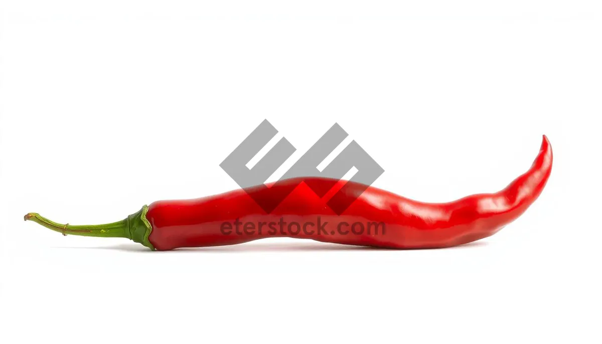 Picture of Fresh Organic Colorful Peppers for Spicy Cooking and Heat