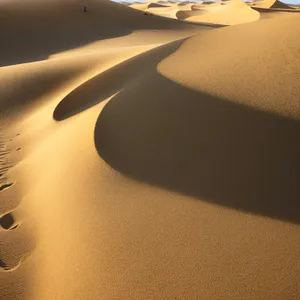 Desert Dunes - Train Journey Through Sand