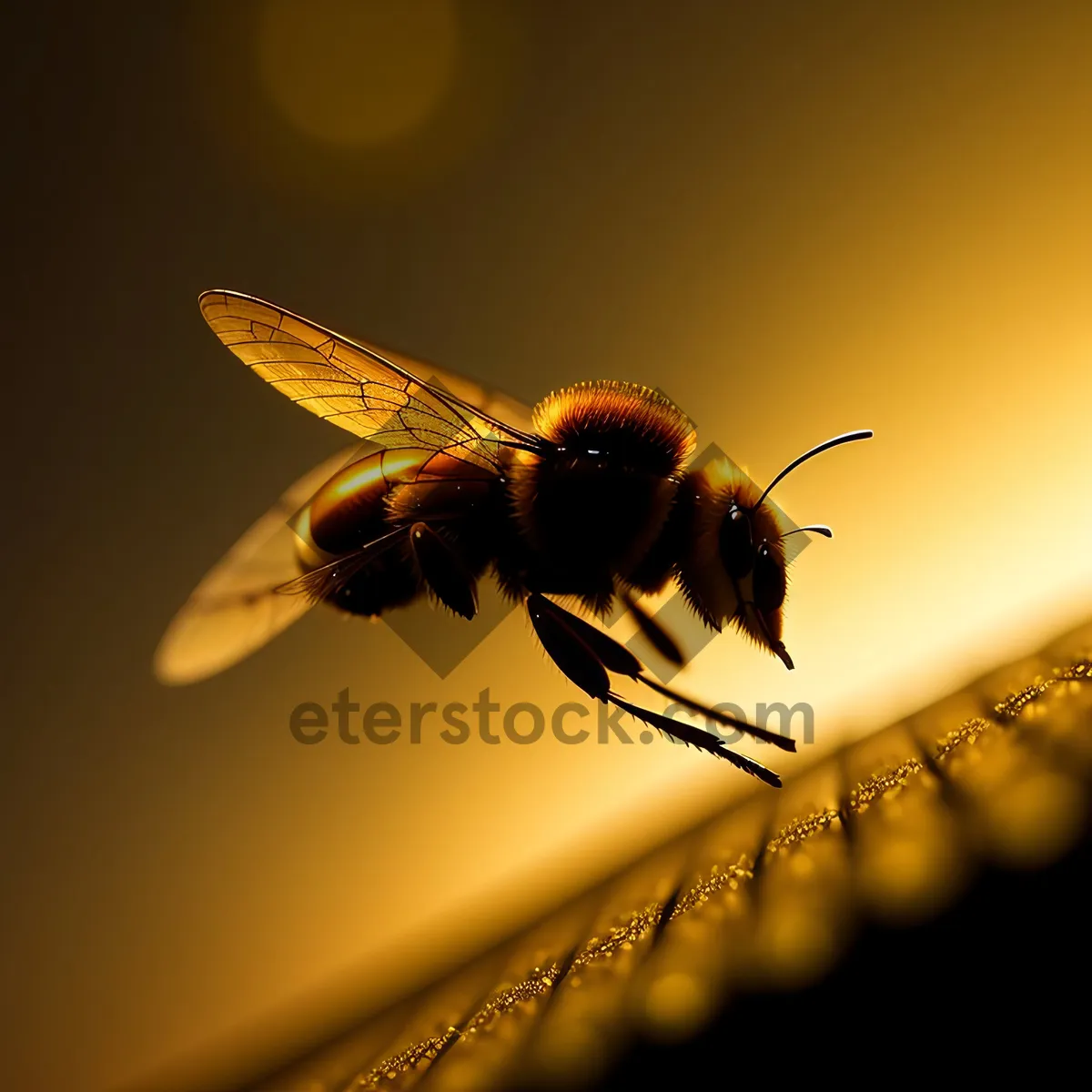 Picture of Vibrant Summer Garden with Wings in Motion