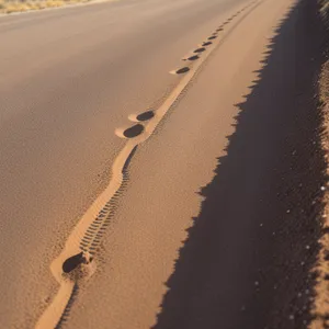 Sandy Beach Dunes Under Bright Summer Sky