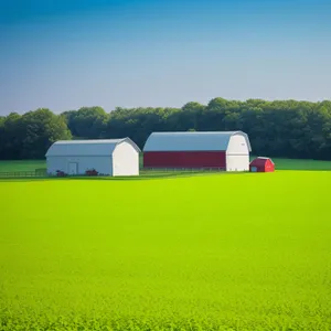 Rural Meadow Under Sunny Sky - Idyllic Landscape Scene