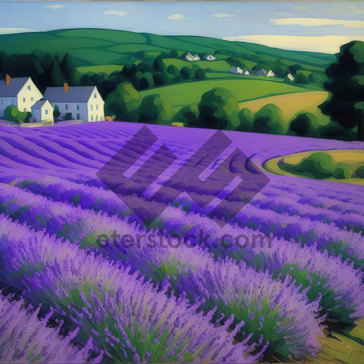 Picture of Serene Lavender Fields in Blossom