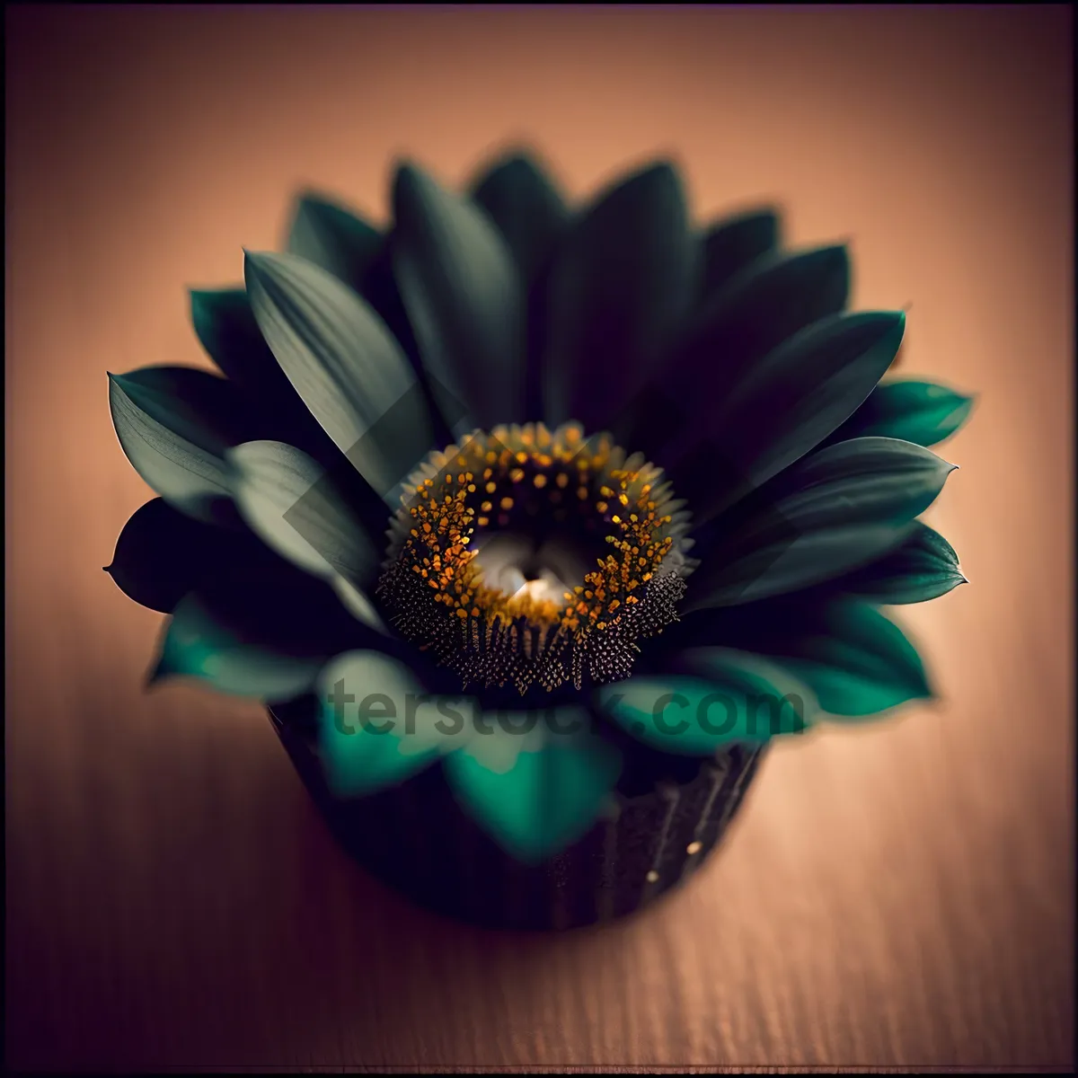 Picture of Bright Yellow Sunflower Blossom in Summer Garden