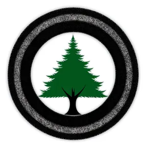 Shiny Black Round Web Button Set