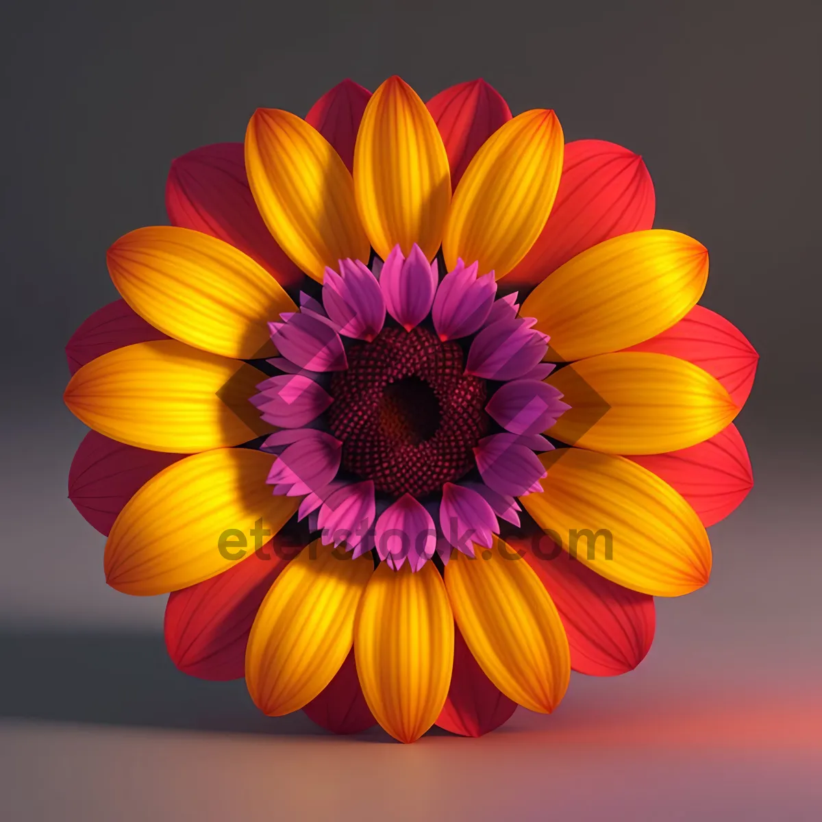 Picture of Vibrant Sunflower Bloom in the Summer Garden