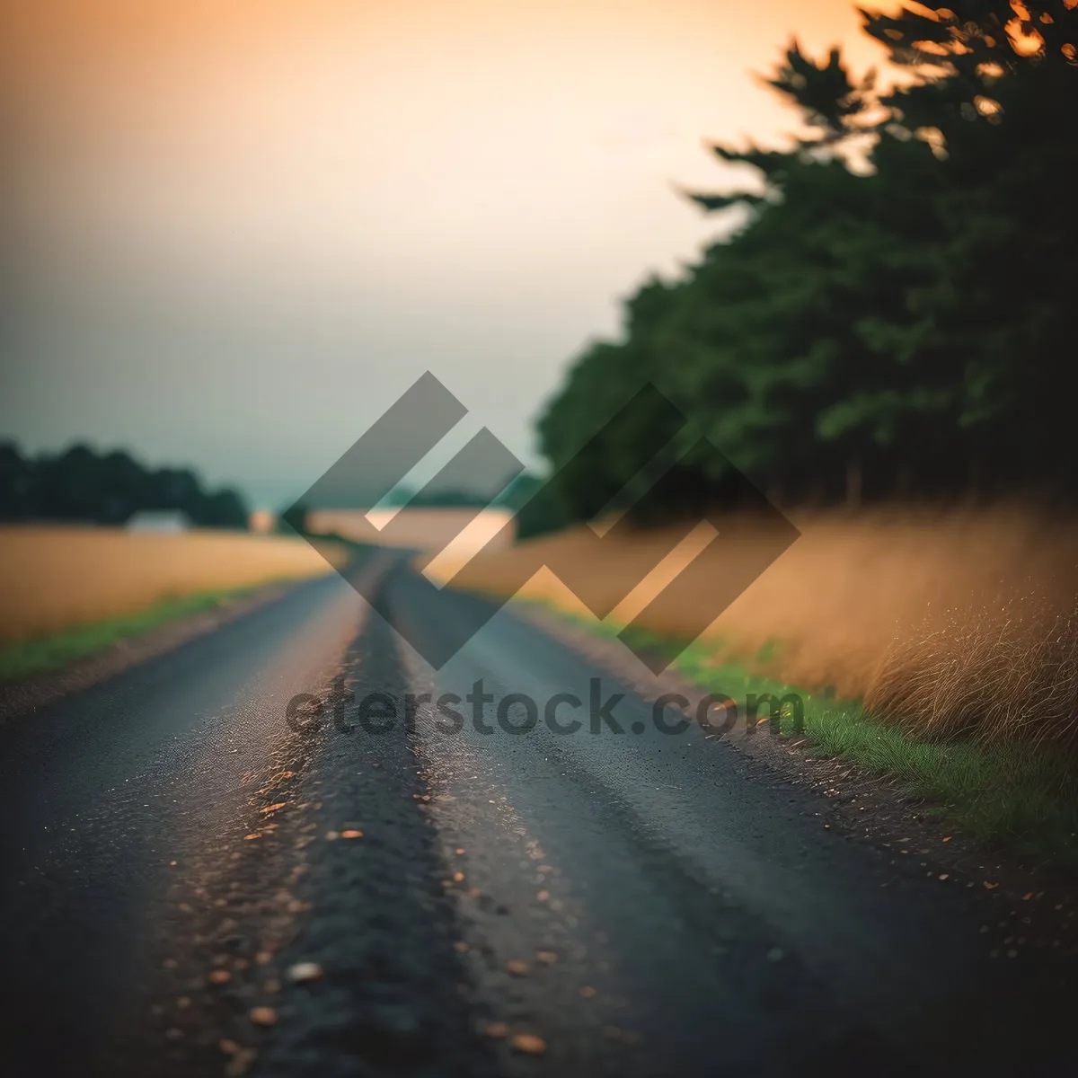 Picture of Scenic Highway Drive through Summer Countryside