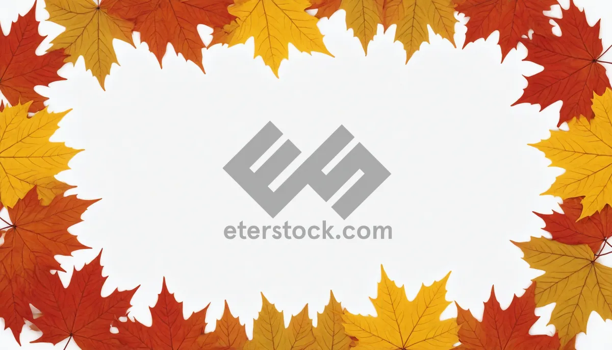 Picture of Autumn Foliage Border in Bright Colors