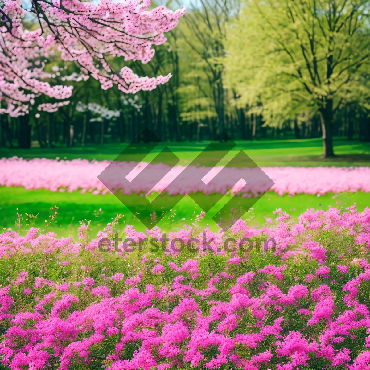 Picture of Colorful Blooms in Lush Park Landscape