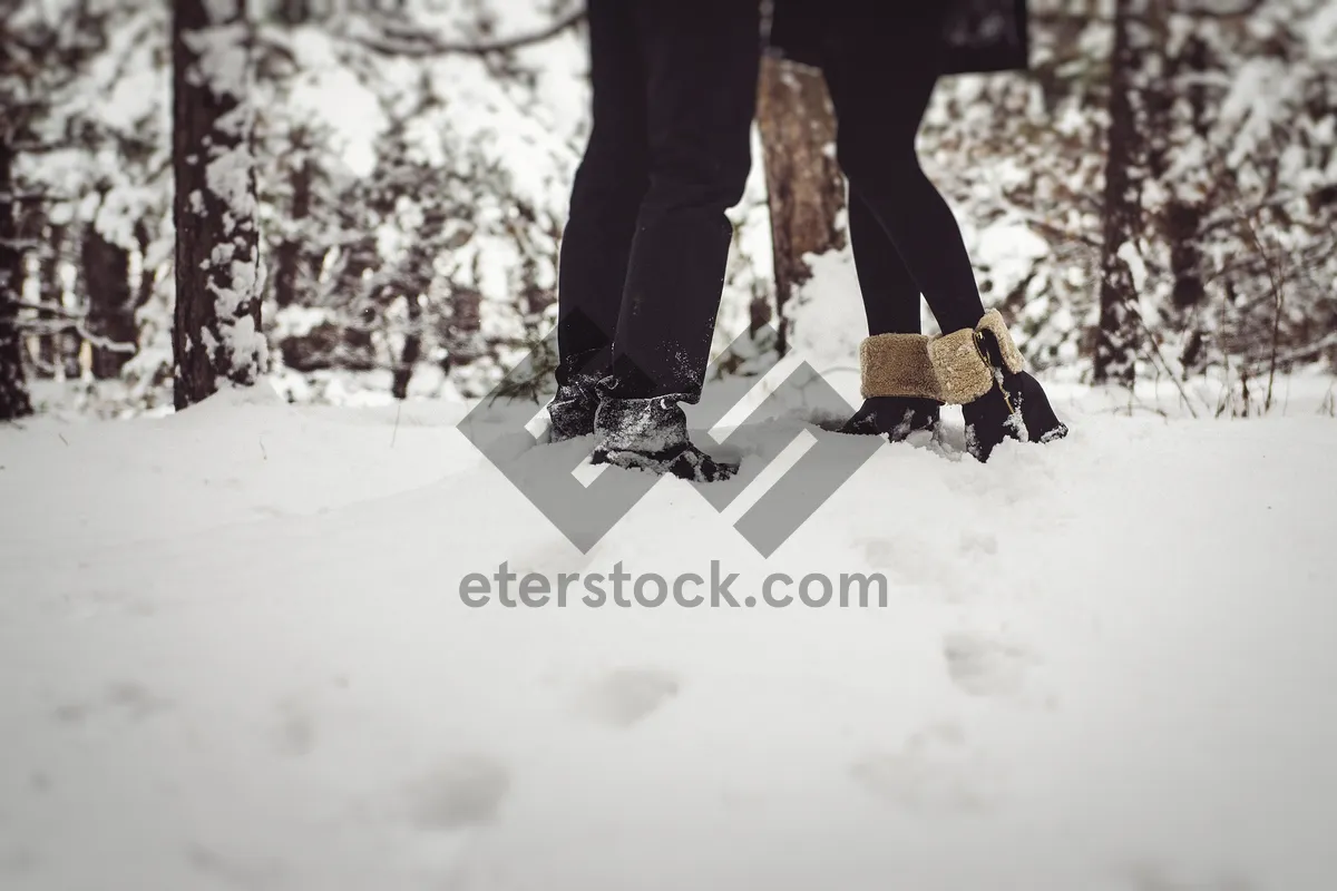 Picture of Winter Fun in the Snowy Park