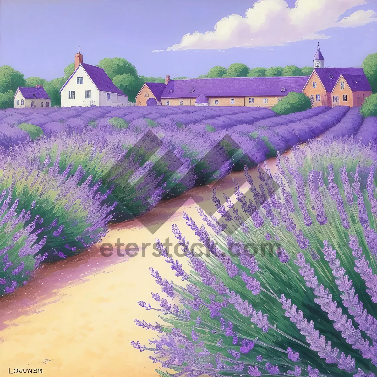 Picture of Colorful Lavender Field Under Radiant Light