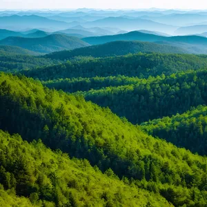 Tranquil Highland Mountain Landscape with River