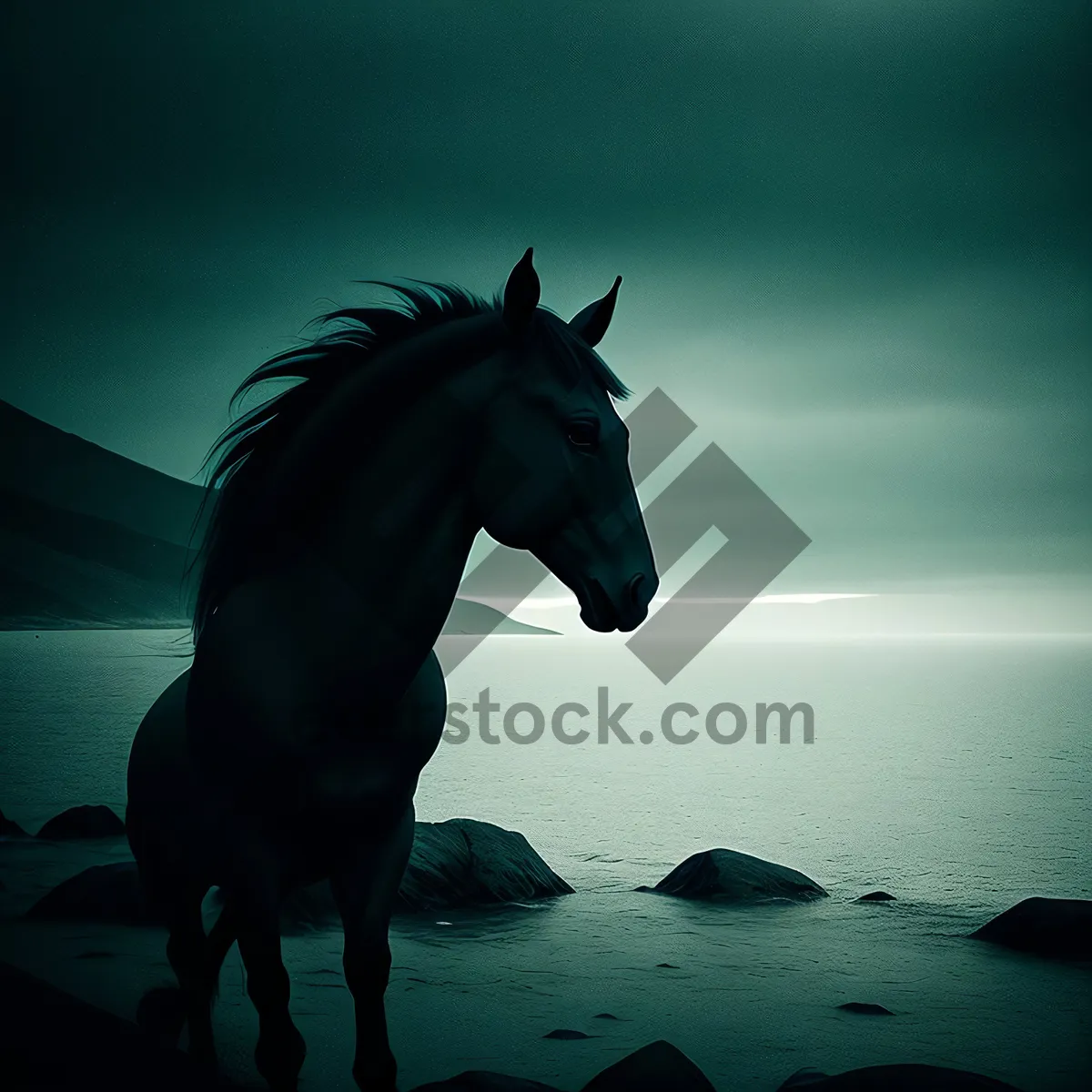 Picture of Sun-kissed Black Stallion Galloping on Beach