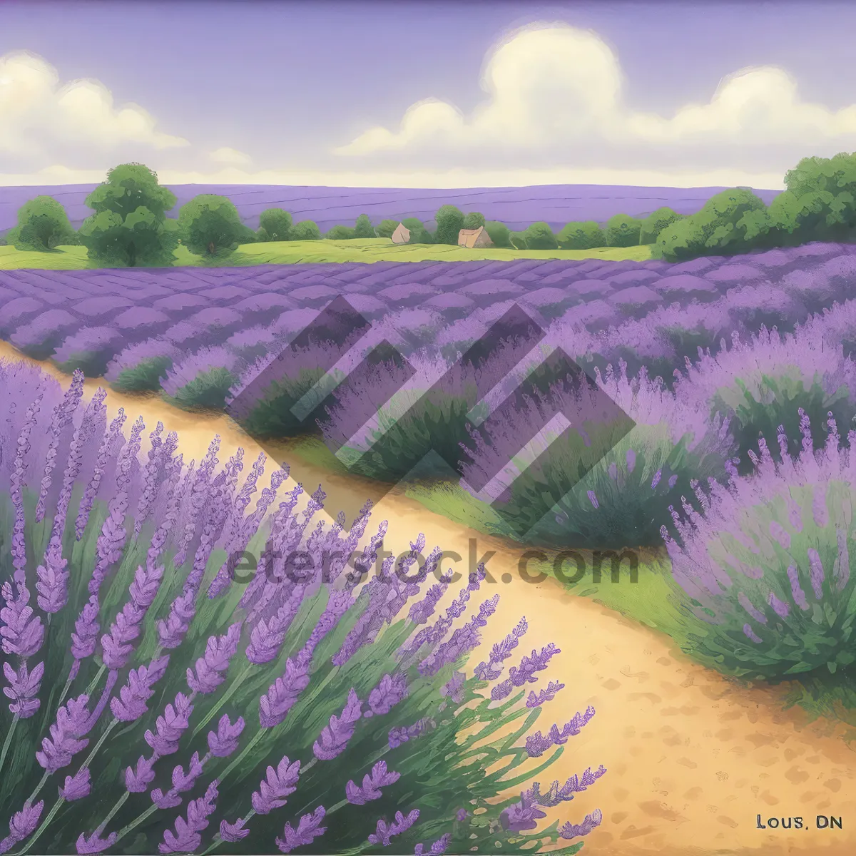 Picture of Vibrant Lavender Blooming in Colorful Field