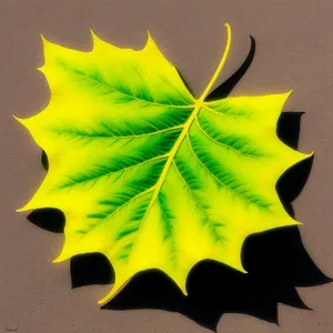 Vibrant Autumnal Maple Leaf Patterned Decoration