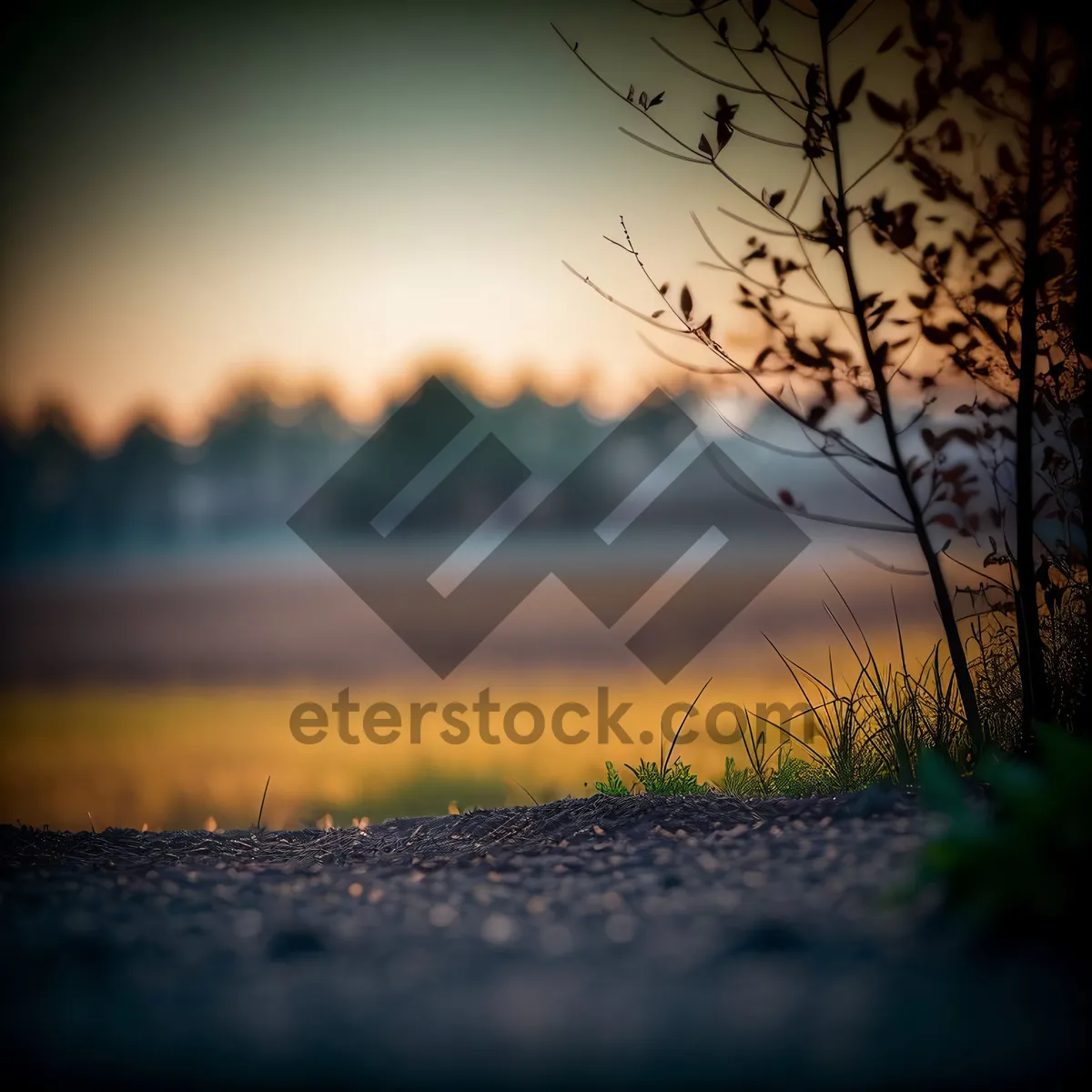 Picture of Vibrant Sunset Over Lush Green Meadow
