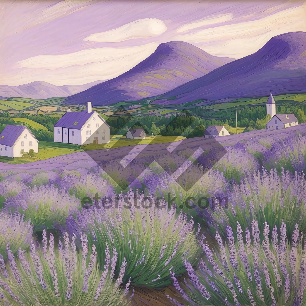 Picture of Serene Lavender Fields Under Clear Rural Sky