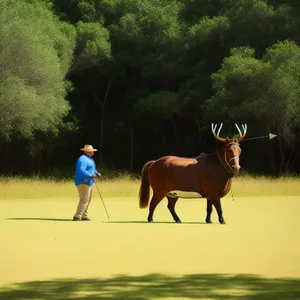 Rustic Ranch Horses Grazing in Pasture