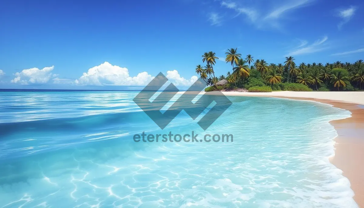 Picture of Tropical island beach with crystal clear waters and palm trees