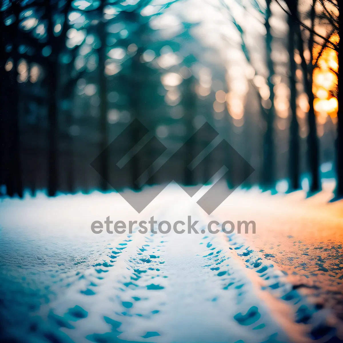 Picture of Winter Wonderland: Sunlit Tree-lined Snowy Forest