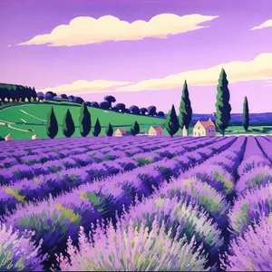 Vibrant Lavender Field Under Colorful Sky