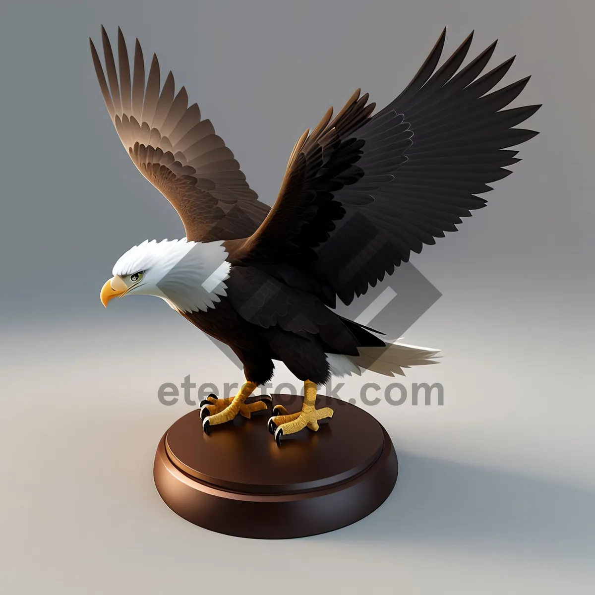 Picture of  Majestic Coastal Bald Eagle Soaring in Flight