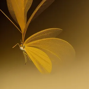 Lacewing insect perched on plant