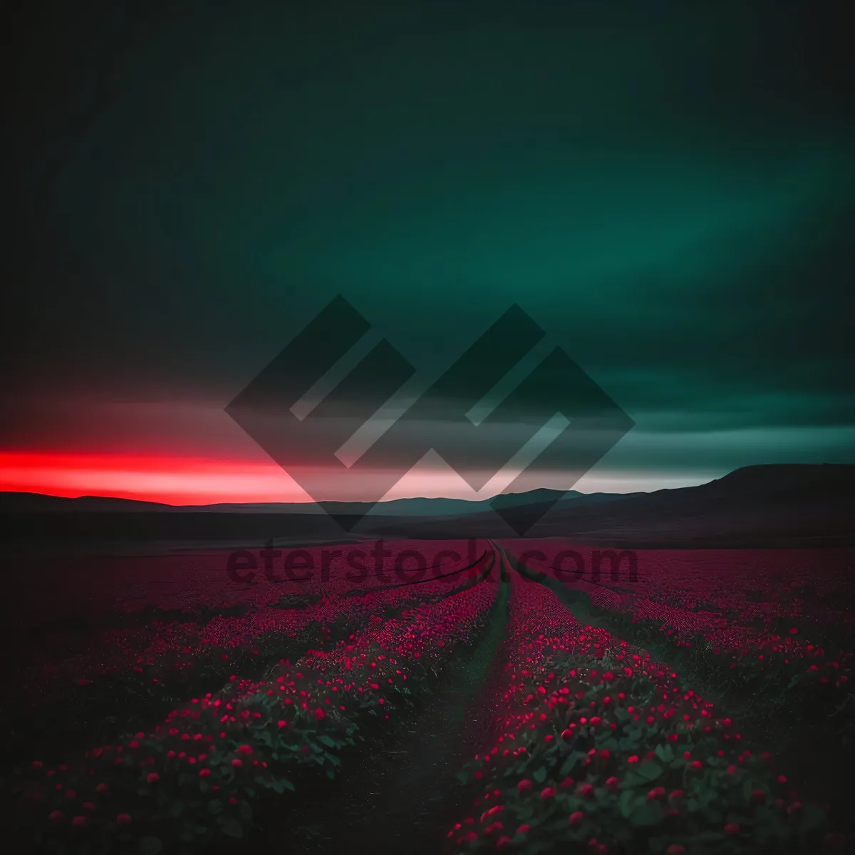 Picture of Golden Horizon: Majestic Sunset Over Rural Landscape