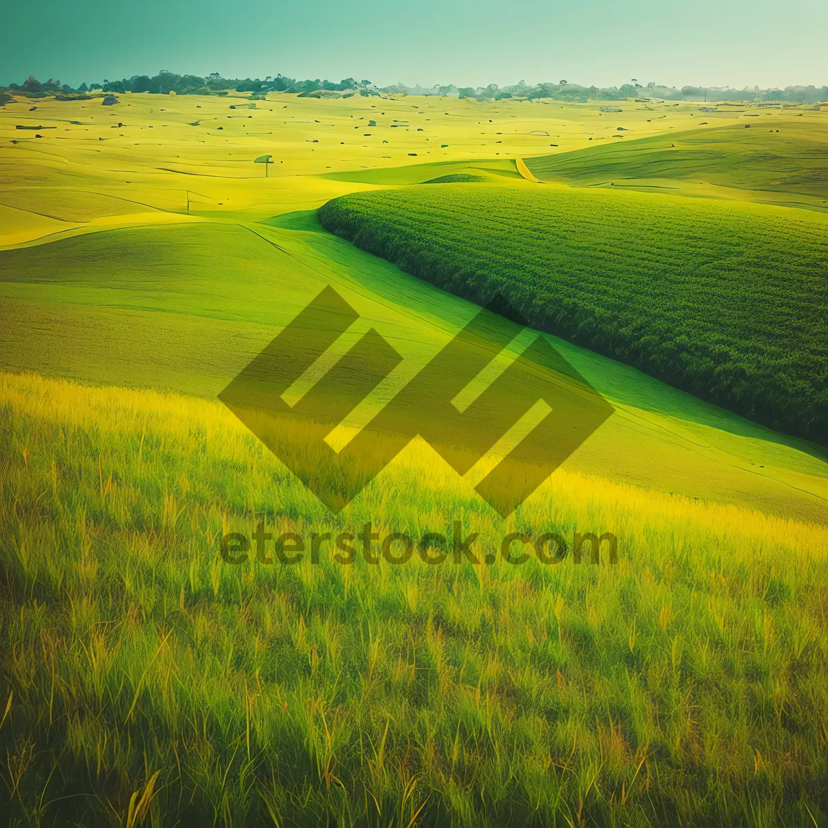Picture of Golden Harvest: A Scenic Autumn Landscape with Rolling Hills