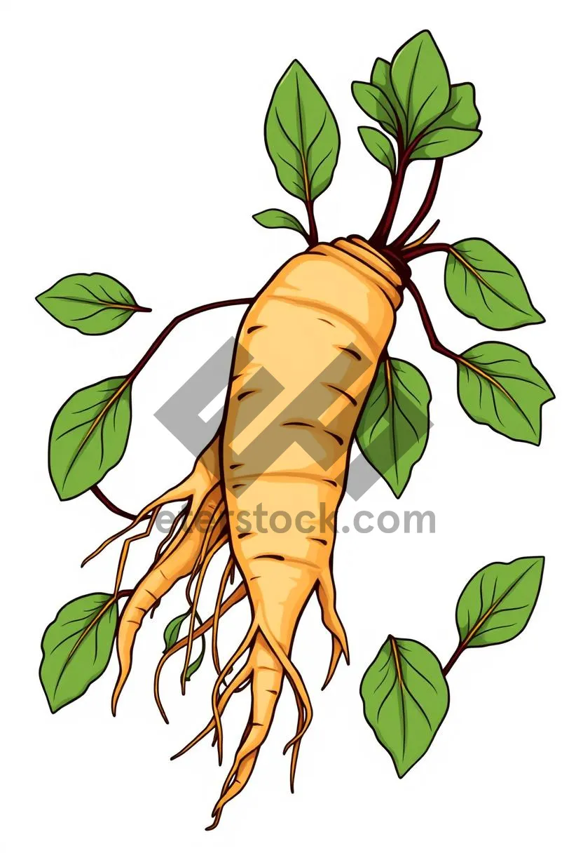 Picture of Spring Floral Tree Branch Pattern Decoration Illustration